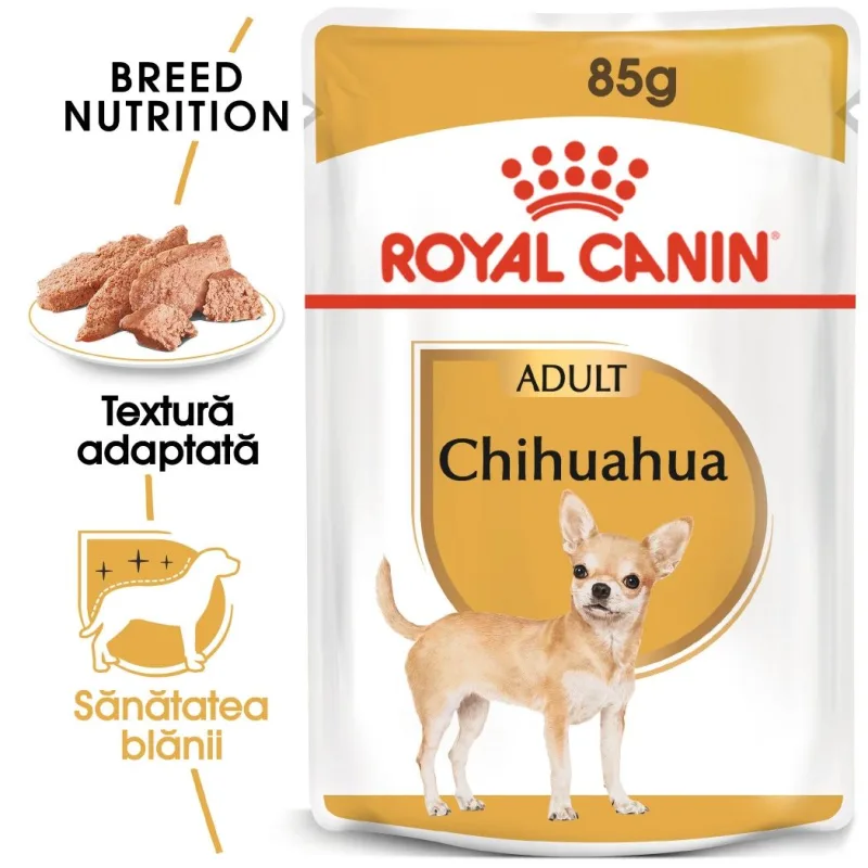 Hrana umedă Royal Canin Chihuahua Adult — Caracteristici, preț și recenzie completă