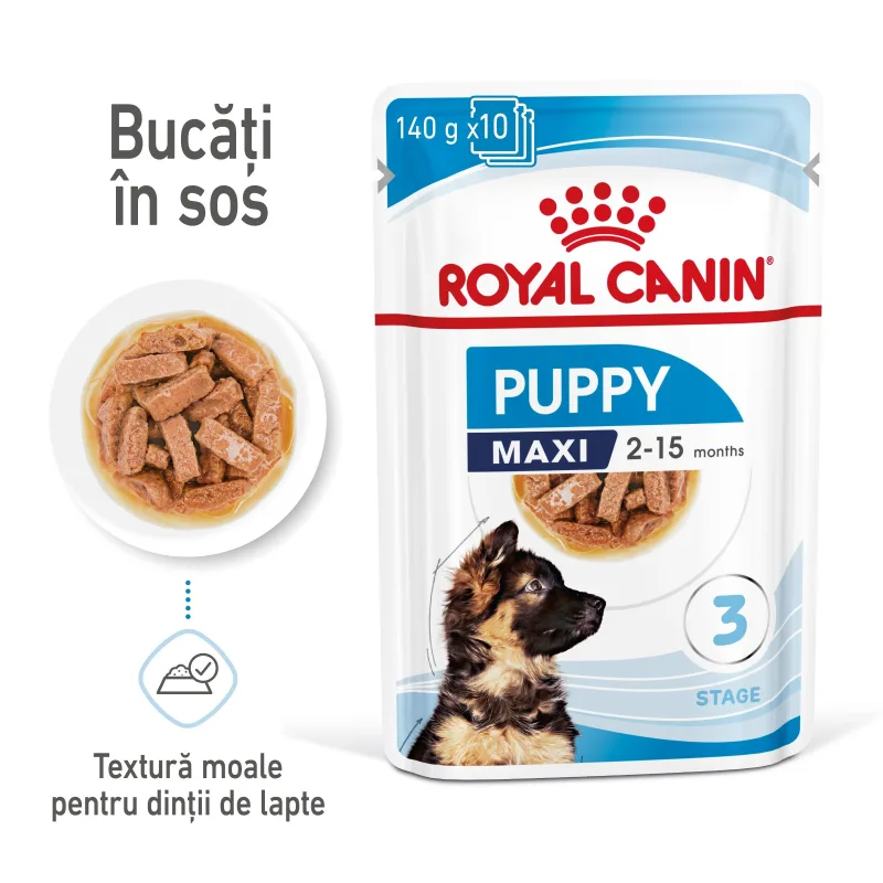 Royal Canin Maxi Puppy — Recenzie despre hrană umedă pentru căței de talie mare