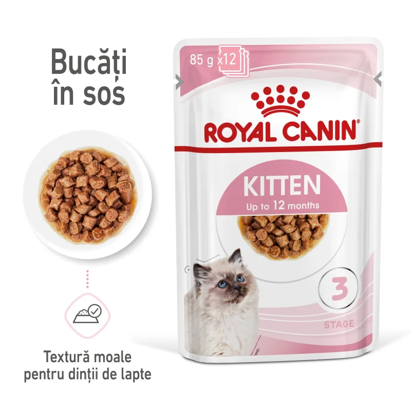 Royal Canin Kitten — Recenzie, caracteristici și preț pentru hrană umedă pisici