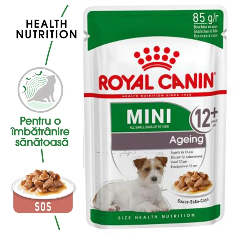 Hrana umedă Royal Canin Mini Ageing 12+ — Caracteristici, preț și verdict