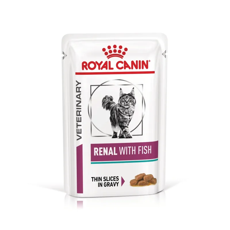 Review Royal Canin Renal Fish — beneficii, preț și caracteristici pentru pisici cu insuficiență renală