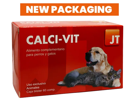 Valoare supliment alimentar JT-Calci-Vit — Recenzie, beneficii pentru sănătatea oaselor și recomandări