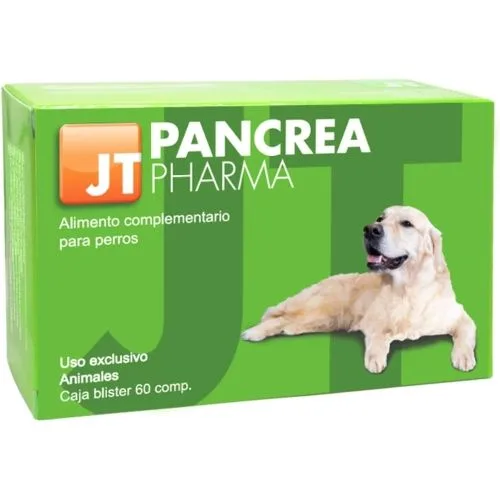 Valoare titlu JT-Pancrea Pharma — Recenzie despre beneficii, preț și recomandări