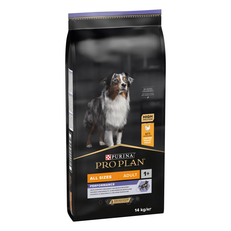 Purina Pro Plan Adult Performance — Recenzie, specificații și performanță pentru câini activi