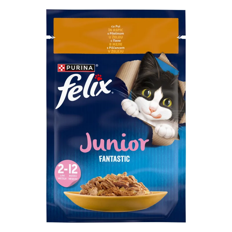 Felix Fantastic Junior, pui — Recenzie despre calitate și preț