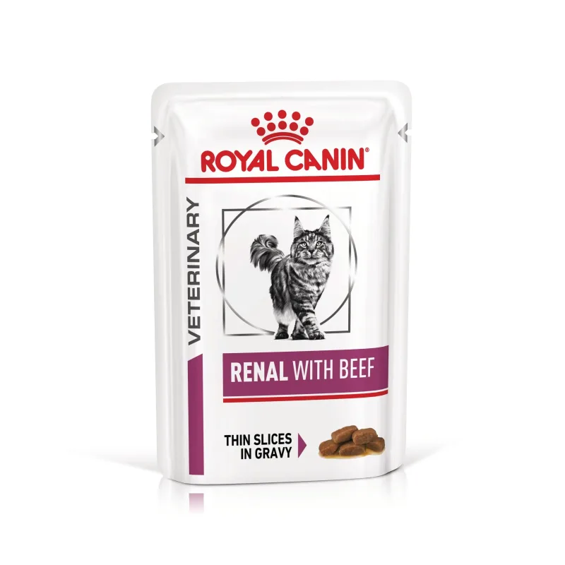 Valoare titlu Royal Canin Renal cu Vită — Recenzie despre beneficii și preț pentru pisici cu probleme renale