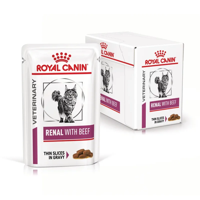 Recomandat Royal Canin Renal cu Vită — Specificații, performanță și verdict pentru pisici cu probleme renale