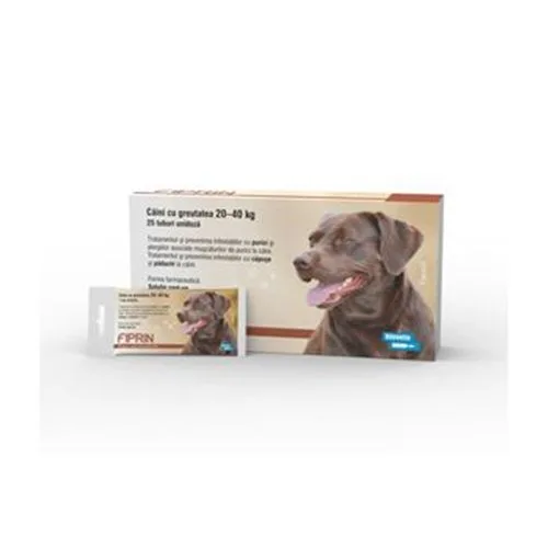 Solutie antiparazitara Fiprin Spot Dog L — Review, performanță și preț actualizat