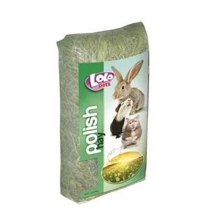 Fan pentru rozatoare Lolo Pets — Recenzie preț și specificații