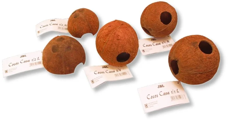 Decor nuca de cocos JBL Cocos Cava 3/4 L — Recenzie, specificații și verdict pentru acvarii și terarii