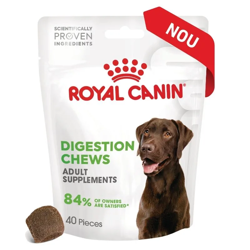 Royal Canin Suplimente Digestion Chews pentru câini adulți — Recenzie, beneficii și preț