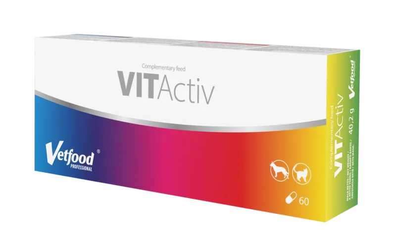 Supliment VetFood VitActiv — Recenzie despre beneficii pentru imunitate și energie la câini și pisici