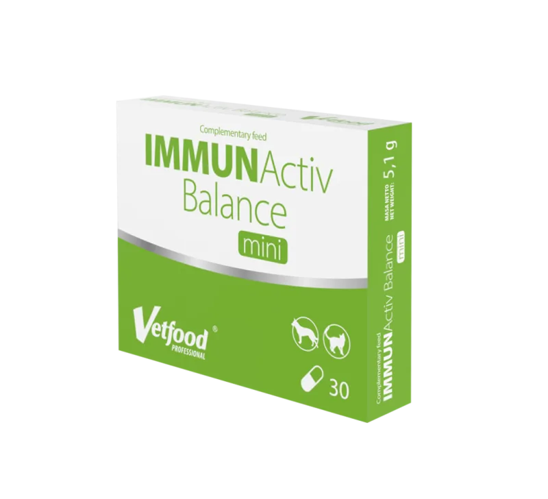 VetFood Immunactiv Balance Mini — Recenzie despre beneficiile pentru sistemul imunitar al câinilor