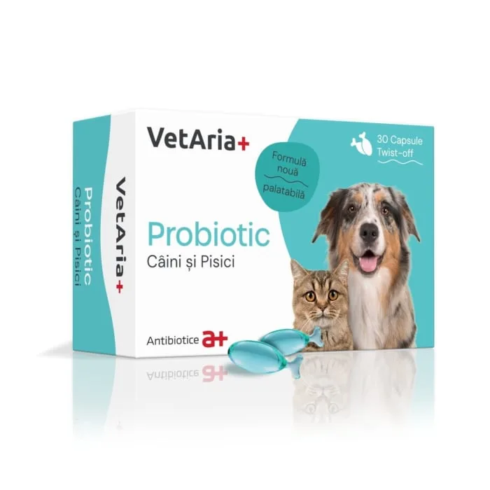 VetAria+ Probiotic pentru pisici — Recenzie despre beneficii și preț